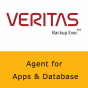VERITAS BACKUP EXEC 16 AGENT FOR APPLICATIONS AND DATABASES